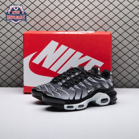 Nike Air Max Plus Black Silver White DM0032-003 Unisex
